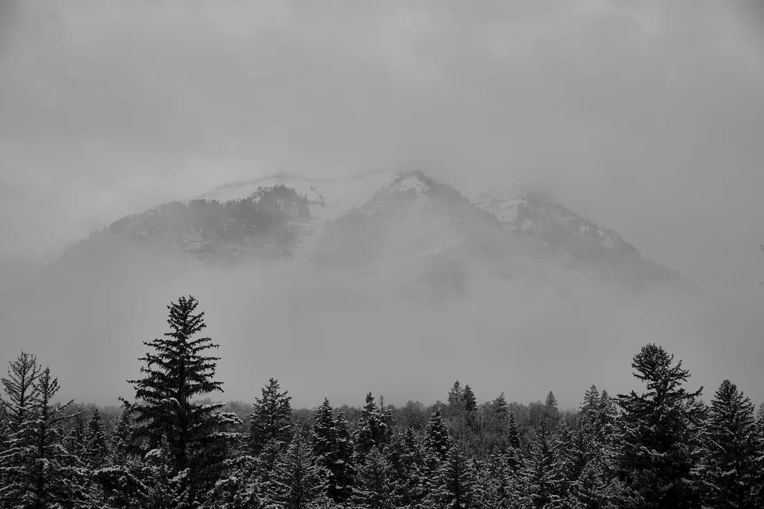 Silence