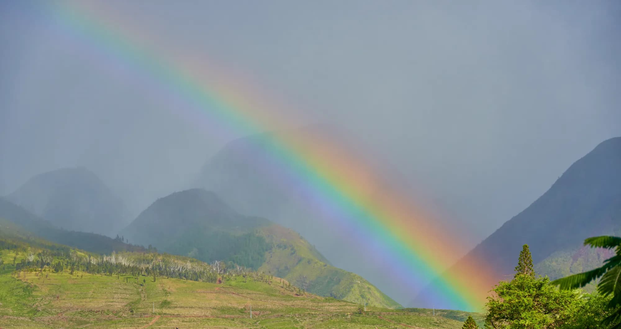 After the Rain — Hawaii
