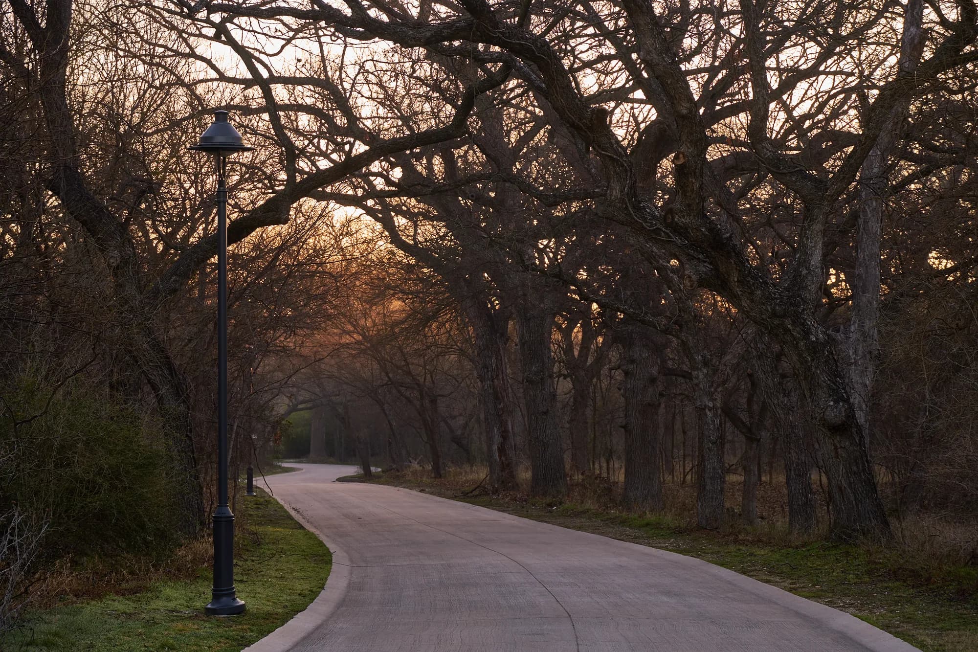 Autumn Path — Benbrook, Texas