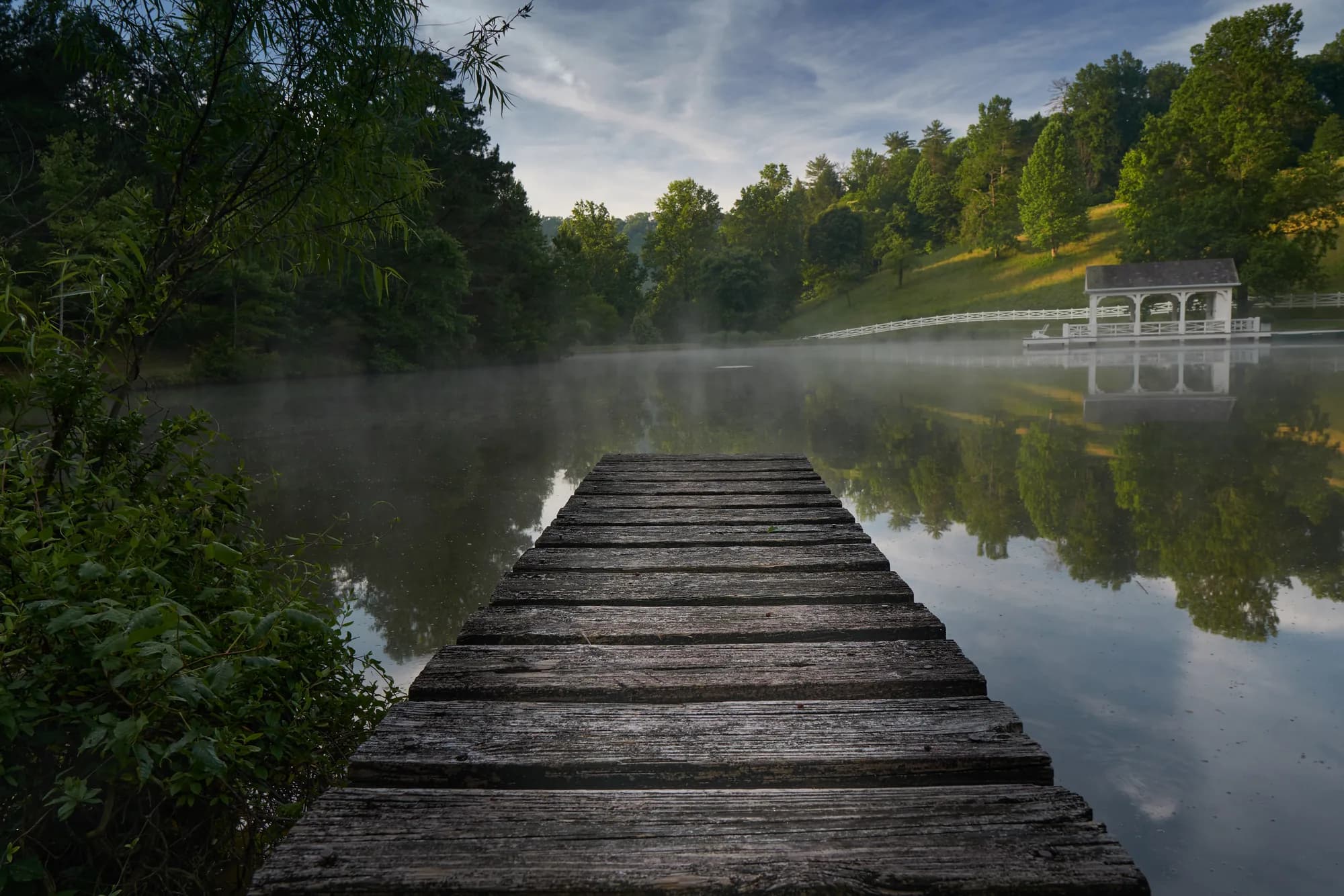 Into the Mist — Smoky Mountains, Tennessee