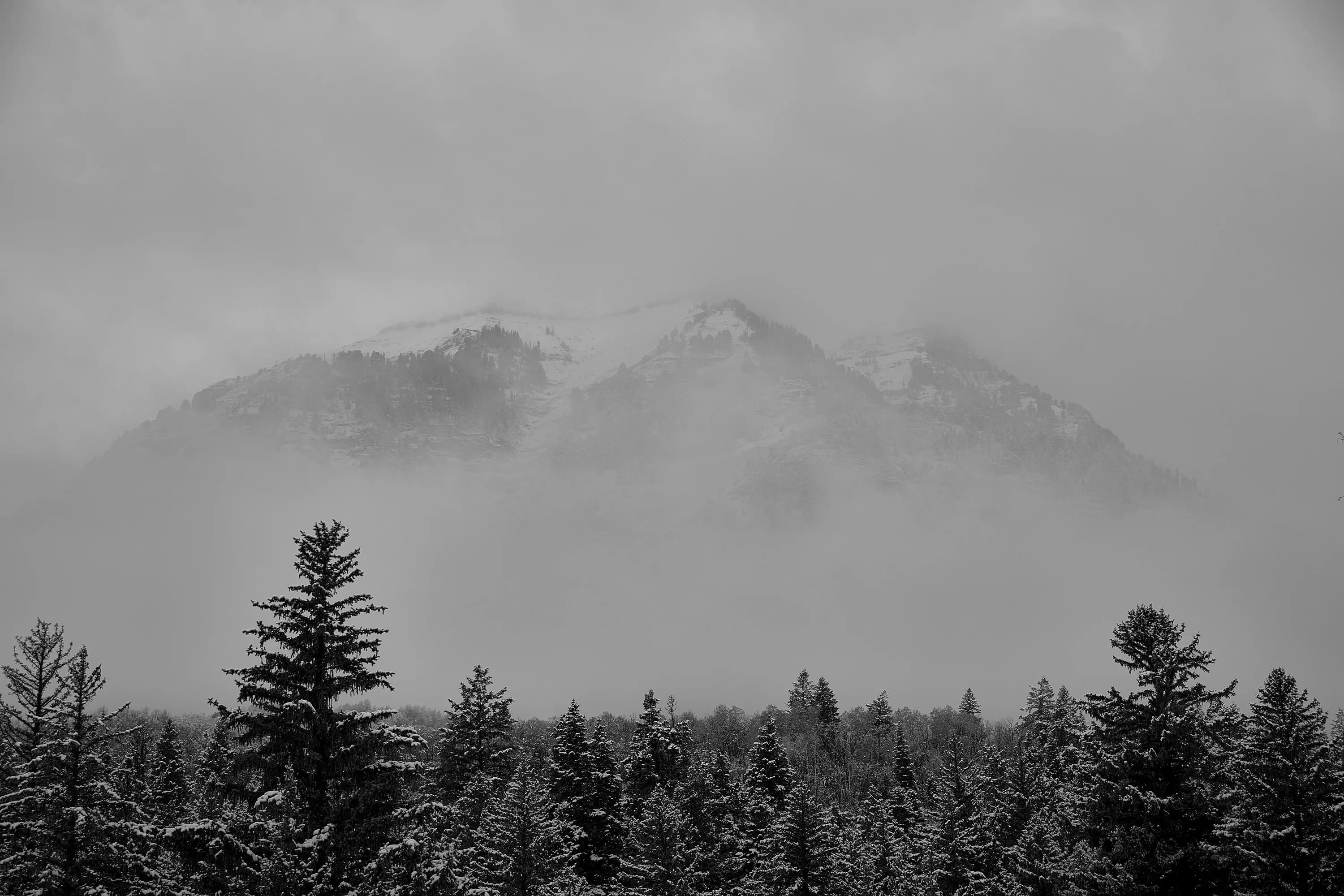 Silence