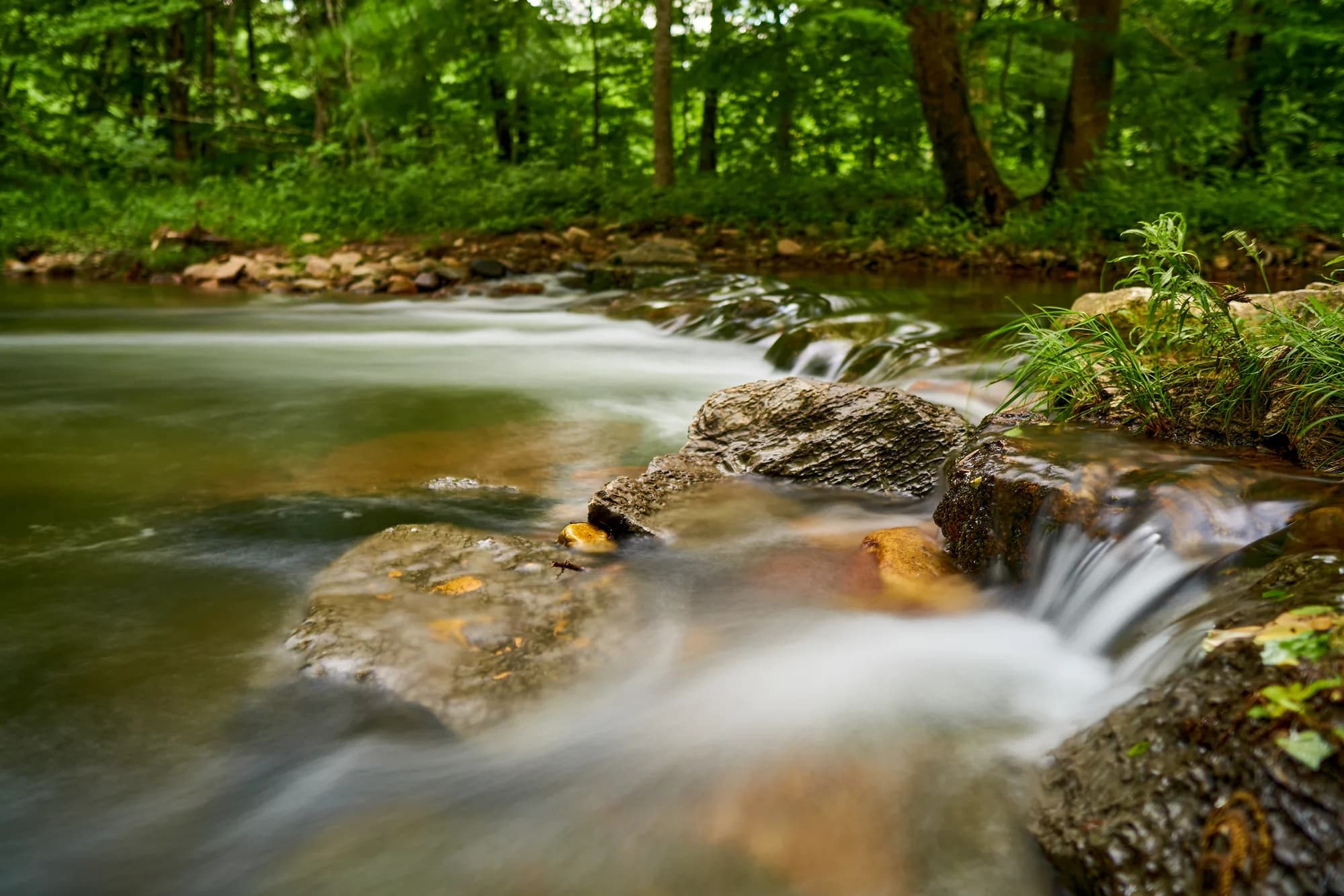 Smoky Mountain Cascade — Smoky Mountains, Tennessee