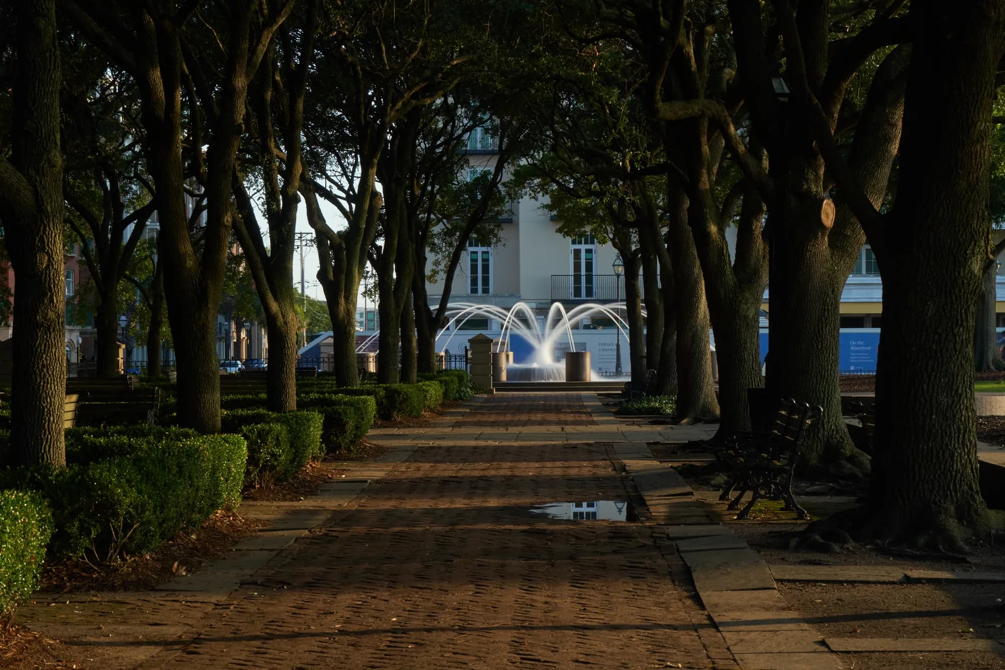 Through the Oaks — Charleston, South Carolina