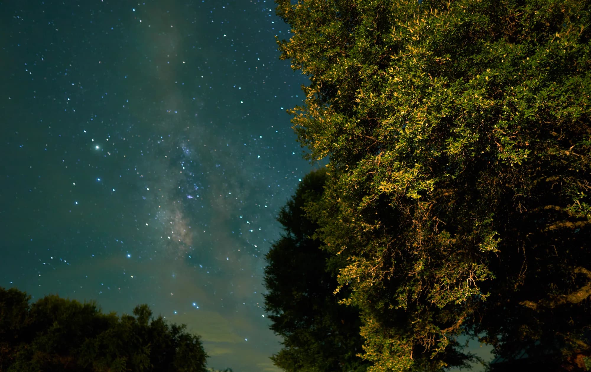 Under the Stars